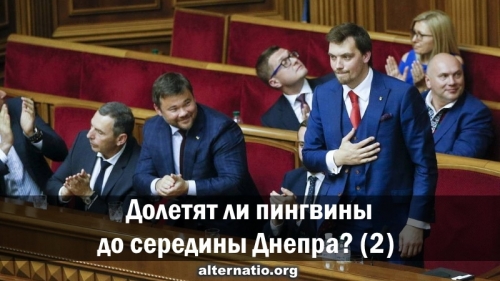 Долетят ли пингвины до середины Днепра? (ч2)