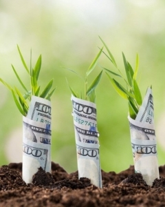 Украина накануне земельного грабежа