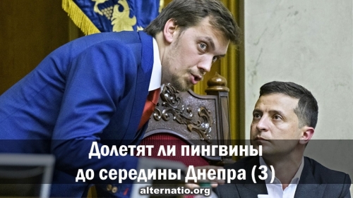 Долетят ли пингвины до середины Днепра? (ч3)