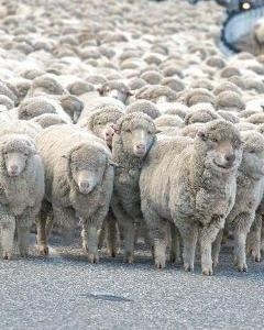 Размышления о Майдане в которых ни разу не будет сказано «оккупация», «снайперы» и «Путин»