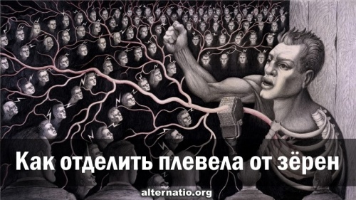 Как отделить плевела от зёрен