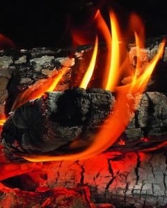 Украинские националисты всегда сжигали людей заживо