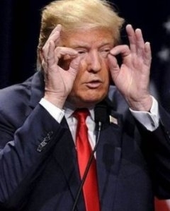 Спасет ли Трампа «украинская карта»?