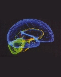 Как Америка сводит своих детей с ума