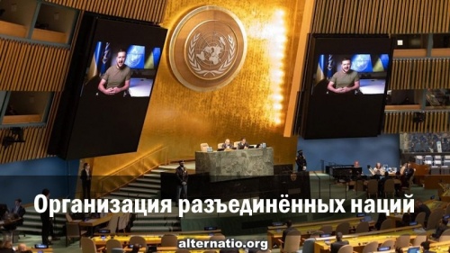 Организация разъединённых наций