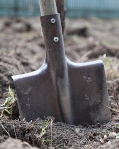 Земельная реформа: Украину продадут по дешёвке